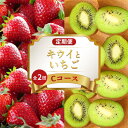 【ふるさと納税】 旬のフルーツ 定期便 2回 Cコース 果物 フルーツ いちご 苺 さぬきひめ キウイ 香緑 グリーンキウイ デザート スイーツ ケーキ ゼリー ジュース アイス ふるさと納税定期便 ふるさと納税フルーツ ギフト 贈答 送料無料 ふるさと納税 香川県 丸亀市|詳細画像