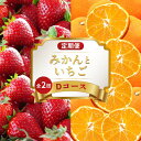 【ふるさと納税】 旬のフルーツ 定期便 2回 Dコース 果物 フルーツ いちご 苺 さぬきひめ 小原紅早生 みかん 柑橘 蜜柑 デザート スイーツ ケーキ アイス ゼリー フルーツ大福 ふるさと納税定期便 ふるさと納税フルーツ ギフト 贈答 送料無料 ふるさと納税 香川県 丸亀市|詳細画像