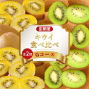 【ふるさと納税】 旬のフルーツ 定期便 2回 Gコース 果物 フルーツ キウイ さぬきゴールドキウイ 香緑 グリーンキウイ スイーツ デザート ケーキ ゼリー ...