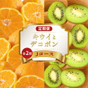 【ふるさと納税】 旬のフルーツ 定期便 2回 Jコース 果物 フルーツ デコポン 不知火 みかん 柑橘 蜜柑 香緑 キウイフルーツ グリーンキウイ キウイ デザート スイーツ ケーキ ふるさと納税定期便 ふるさと納税フルーツ ギフト 贈答 送料無料 ふるさと納税 香川県 丸亀市|詳細画像
