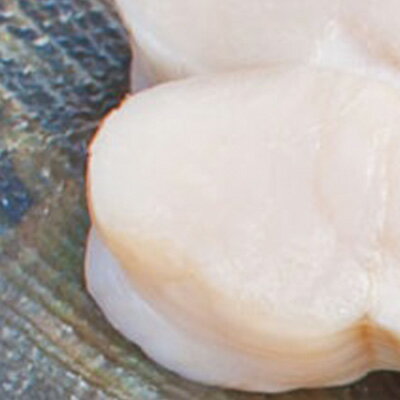 【ふるさと納税】たいらぎ貝　【魚介類・魚貝類・加工食品・タイラギの貝柱・たいらぎ貝・1kg】