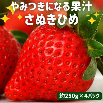 【ふるさと納税】いちご やみつきになる果汁 さぬきひめ 苺 4パック 果物 フルーツ くだもの イチゴ さぬき姫 香川　 丸亀市 　お届け：2024年2月～5月下旬に配送いたします。のサムネイル