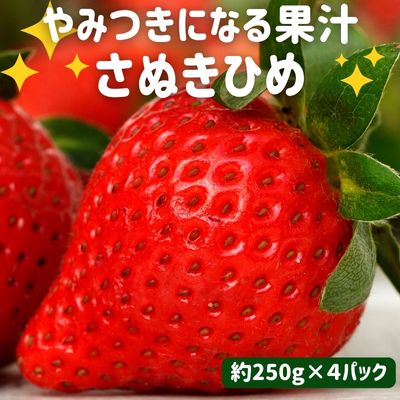 いちご やみつきになる果汁 さぬきひめ 苺 4パック 果物 フルーツ くだもの イチゴ さぬき姫 香川 [ 丸亀市 ] お届け:2024年2月〜5月下旬に配送いたします。