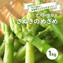 【ふるさと納税】さぬきのめざめ（アスパラガス）1kg【五色青果】 【野菜 野菜セット アスパラガス さぬきのめざめ アスパラ 1kg】 お届け：2024年3月上旬～8月下旬です。