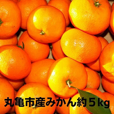 【ふるさと納税】丸亀産みかん約5kg　【果物類・フルーツ・みかん・柑橘類・ミカン・約5kg】　お届け：2022年10月中旬〜2023年2月下旬