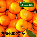 【ふるさと納税】 先行予約 みかん 選べる容量 約5kg 10kg 柑橘 ミカン 蜜柑 オレンジ 温州みかん デザート スイーツ アイス シャーベット ジェラー...
