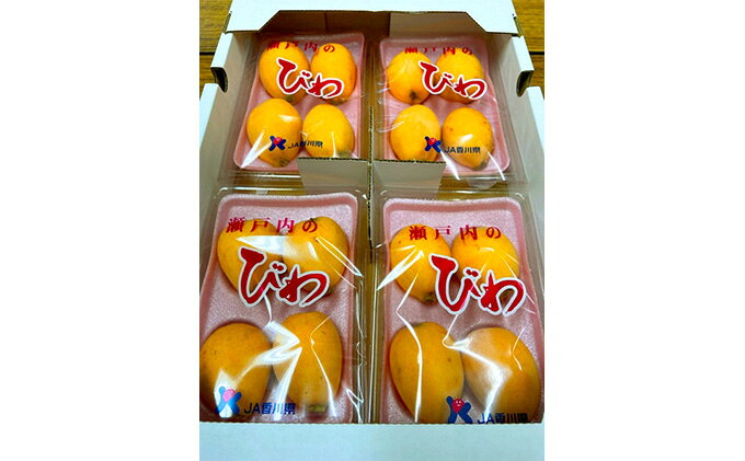 【ふるさと納税】 なつたよりびわ（約1kg）　【果物類・フルーツ・びわ・枇杷・果物類・フルーツ・果物類・フルーツ】　お届け：2027年5月中旬-6月下旬 f372021-marugame-10000070 香川県丸亀市 サンプル画像2