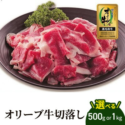 37位! 口コミ数「0件」評価「0」牛肉 切り落とし オリーブ牛 500g 肉 お肉 牛 和牛 国産 切落し すき焼き しゃぶしゃぶ 焼肉 焼き肉　【 丸亀市 】