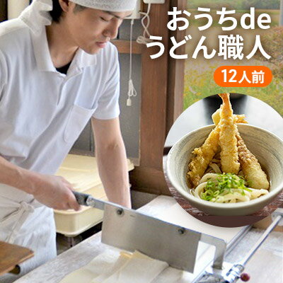 【ふるさと納税】うどん 手打ち セット おうちdeうどん職人 900g×1枚 半生うどん 10人前 冷蔵 丸亀 讃岐 讃岐うどん さぬきうどん つゆ 小袋 付き 麺類 加工食品 惣菜　【 丸亀市 】　お届け：入金確認後、順次発送いたします。