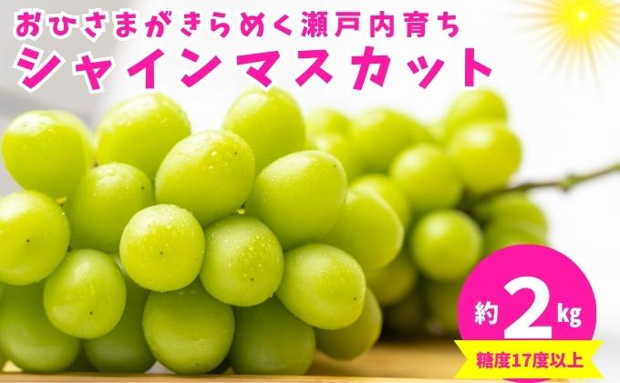 【ふるさと納税】おひさまがきらめく瀬戸内育ち！シャインマスカット 約2kg　【果物類・フルーツ・果物・ぶどう・フルーツ・果物類・ぶどう・マスカット・フルーツ】　お届け：2024年8月下旬～9月下旬