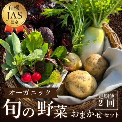 野菜 詰め合わせ 定期便 よしむら農園 オーガニックおまかせ野菜セット/2回定期便 野菜 詰め合わせ オーガニック おまかせ セット 一人暮らし 野菜炒め 無添加 旬 有機栽培 JAS 新鮮 [定期便・丸亀市] お届け:※年末年始配送不可 12/26〜1/15指定不可