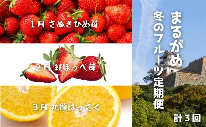 【ふるさと納税】 【冬の定期便3回】丸亀自慢のフルーツ【離島エリア配送不可】 果物類 いちご 苺 イチゴ みかん さぬきひめ 紅ほっぺ苺 はっさく フルーツ 香川県 丸亀市