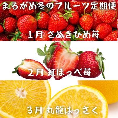 [冬の定期便3回]丸亀自慢のフルーツ[離島エリア配送不可] 果物類 いちご 苺 イチゴ みかん さぬきひめ 紅ほっぺ苺 はっさく フルーツ 香川県 丸亀市