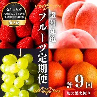 8位! 口コミ数「0件」評価「0」フルーツ 定期便 9回 丸亀のフルーツ 旬のお届け 果物 果物類 シャインマスカット みかん 桃 キウイ ぶどう 厳選 旬 詰め合わせ お楽･･･ 