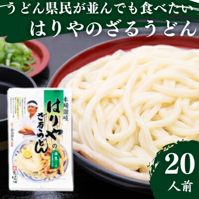 うどん 香川県民が並んでも食べたい店 はりや さぬきうどん 10人前 名店 讃岐うどん 麺類 ギフト お中元 コシ 生麺 ぶっかけ 冷凍 半生麺 加工食品 引っ越し 製麺 茹でる　【 丸亀市 】