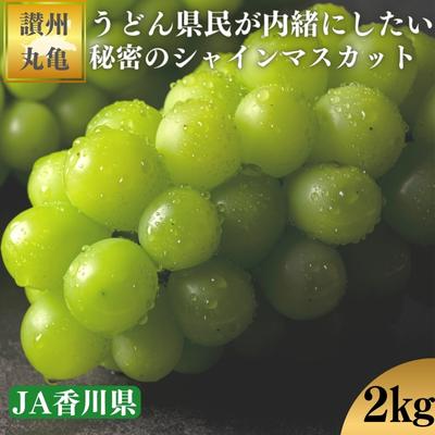 シャインマスカット 地元民が内緒にしたい 約2kg マスカット ぶどう 葡萄 ブドウ フルーツ 果物 くだもの 香川　　お届け：2024年9月上旬～9月下旬
