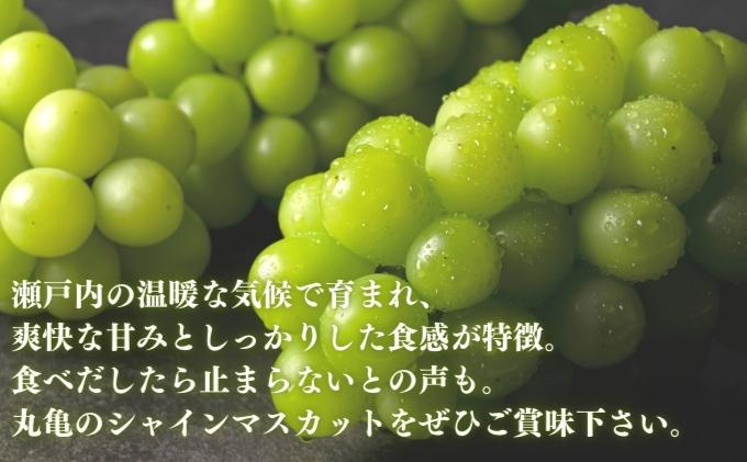 【ふるさと納税】 早期予約 シャインマスカット 約2kg マスカット ぶどう 葡萄 果物 フルーツ スイーツ デザート ケーキ ゼリー シャーベット アイス ジェラート ふるさと納税ぶどう ふるさと納税シャインマスカット 贈答 プレゼント 送料無料 人気 おすすめ ふるさと納税