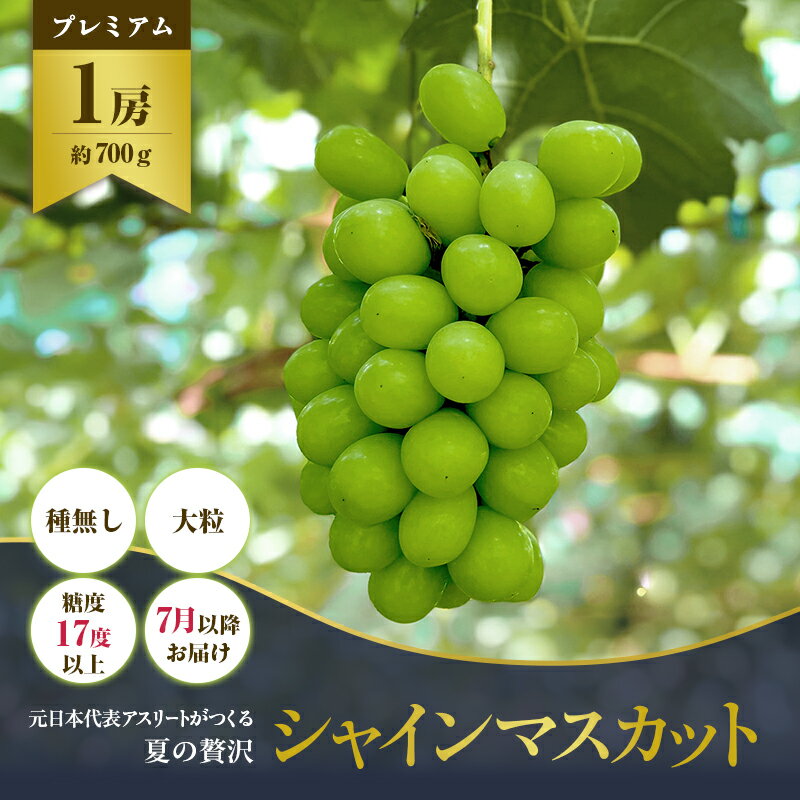 名称シャインマスカット内容量シャインマスカット　約700g 1房産地国産（香川県丸亀市産）事業者木村和史農園配送方法冷蔵配送お届け時期2024年7月下旬から8月中旬（目安）備考※画像はイメージです。 ※到着後はなるべく早くお召し上がりくださ...