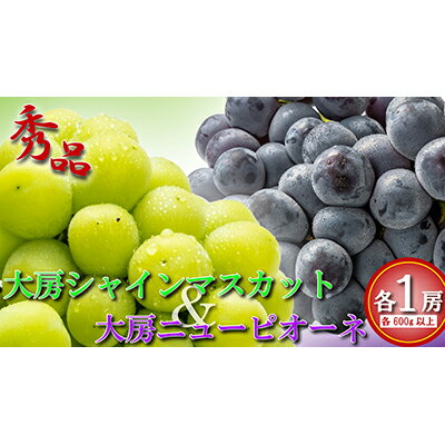 【2025年8月中旬より順次発送】大房 シャインマスカット&ニューピオーネ 各1房 ( 各約600g ) マスカット ピオーネ ぶどう 葡萄 ブドウ フルーツ 果物 くだもの 大きい 瀬戸内 果汁 フルーツ 高級 デザート スイーツ ケーキ ゼリー ジュース アイス 果実 青果 甘い 季節 【2025年8月中旬より順次発送】大房 シャインマスカット&ニューピオーネ 各1房 ( 各約600g ) マスカット ピオーネ ぶどう 葡萄 ブドウ フルーツ 果物 くだもの 大きい 瀬戸内 果汁 フルーツ 高級 デザート スイーツ ケーキ ゼリー ジュース アイス 果実 青果 甘い 季節
