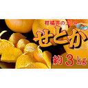 【ふるさと納税】柑橘界の大トロ！せとか　約3kg　【 果物 柑橘 フルーツ 冬の味覚 旬の果物 旬のフルーツ せとかオレンジ 果汁 デザート おやつ 】　お届け：2024年2月1日～2024年3月31日