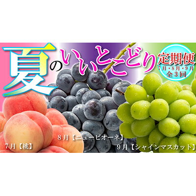 9位! 口コミ数「0件」評価「0」夏のいいとこどり定期便【全3回】　【定期便・果物類 フルーツ ブドウ シャインマスカット ニューピオーネ 桃 季節の果物 旬のフルーツ 】　･･･ 