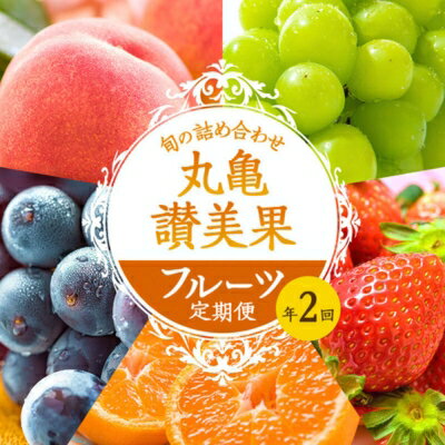 【ふるさと納税】フルーツ定期便 丸亀讃美果 計2回定期便／ 果実 果物 旬 定期配送 シャインマスカット 桃 みかん いちご ピオーネ ぶどう　詰め合わせ 詰合せ　【定期便・ 果物類 フルーツ 果物 旬のフルーツ 季節の果物 桃 ブドウ いちご みかん せとか お楽しみ 】