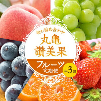 フルーツ定期便 丸亀讃美果 計3回定期便／ 果実 果物 旬 定期配送 シャインマスカット 桃 みかん いちご ピオーネ ぶどう　詰め合わせ 詰合せ　【定期便・ 果物類 フルーツ 果物 旬のフルーツ 季節の果物 桃 ブドウ いちご みかん せとか お楽しみ 】