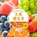 【ふるさと納税】フルーツ 定期便 6ヶ月 丸亀讃美果 セット 詰め合わせ 桃 シャインマスカット いちご ピオーネ みかん キウイ キウイフルーツ 清見オレンジ 旬の果物 旬のフルーツ 果物 くだ…