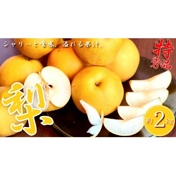 【ふるさと納税】【特秀品 】丸亀育ちの梨 約2kg 【 梨 ナシ 果物 フルーツ みずみずしく すっきりとした甘さ シャキシャキとした歯触り 冷蔵 】 お届け：2024年8月初旬～9月中旬