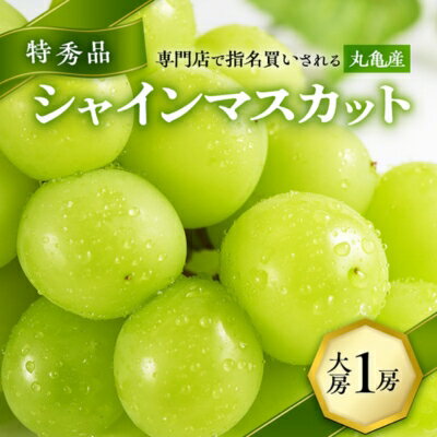 【ふるさと納税】特秀品！大房シャインマスカット 1房（600g以上）　【 果物 ぶどう フルーツ 果物類 丸亀市 香川県 得秀品 大房 600g 1房 シャインマスカット 】　お届け：2023年8月15日〜2023年10月15日のサムネイル