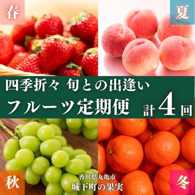 フルーツ 定期便 4回　旬に出逢う城下町の果実 定期配送 いちご 桃 シャインマスカット みかん 果実 果物 ぶどう 　　お届け：入金月の最短回から計4回お届け