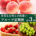 【ふるさと納税】【お届け:入金月の最短回から全3回お届け】フルーツ 定期便 3回 旬に出逢う城下町の果実 定期配送 いちご 桃 シャインマスカット 果実 果物 ...