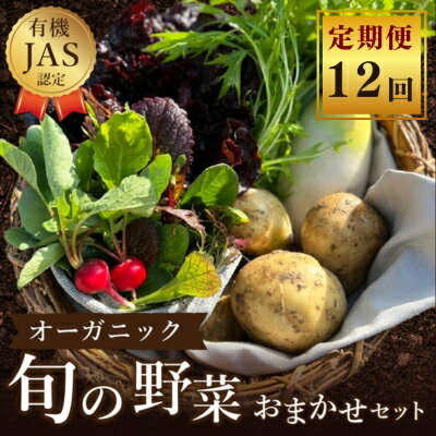 野菜 詰め合わせ 定期便12回/よしむら農園 オーガニック おまかせ野菜セット 定期配送 [定期便・ 安全 旬の野菜 オーガニック野菜 有機JAS認証農園 ]