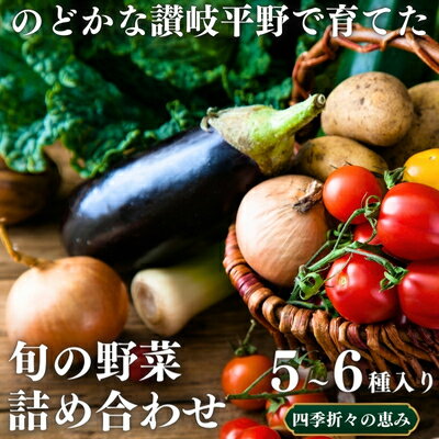 44位! 口コミ数「0件」評価「0」のどかな讃岐平野で育てた 旬の野菜 詰め合わせセット　今が旬 健康 野菜ボックス ヘルシー食材　【 トマト サツマイモ 新鮮 とれたて 季節･･･ 