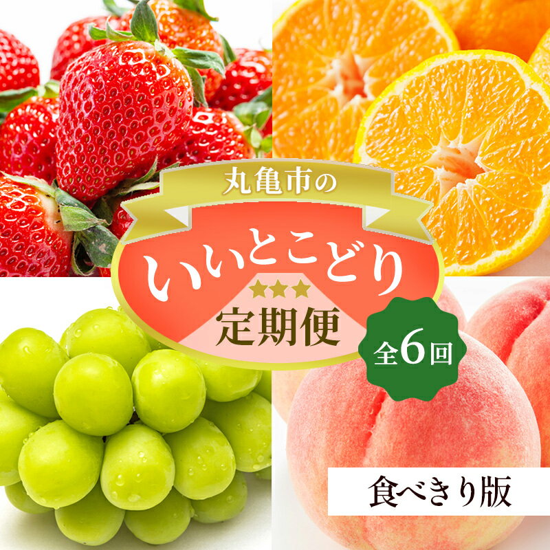 フルーツ定期便 丸亀市のいいとこどり定期便/ 少人数でも楽しみやすい食べきり版[全6回]シャインマスカット 桃 ピオーネ いちご みかん さぬきひめ 定期配送 頒布会 果実 果物 [定期便・丸亀市 定期便 食べきり フルーツ ]