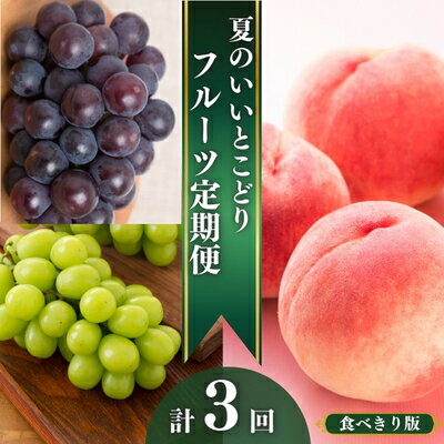 30位! 口コミ数「0件」評価「0」フルーツ定期便 丸亀市夏のいいとこどり定期便/ 少人数でも楽しみやすい食べきり版【全3回】シャインマスカット 桃 ピオーネ いちご みかん ･･･ 