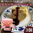 【ふるさと納税】 ジャム ブラックベリージャム 3個 セット 瀬戸内海 ブラックベリー フルーツ 果物 ベリー ギフト プレゼント 贈答 スイーツ デザート おやつ お菓子 菓子 パン ケーキ アイス ヨーグルト 無添加 常温 加工品 常温配送 香川県 香川 丸亀 丸亀市