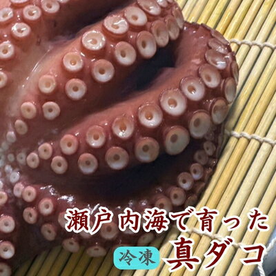 【ふるさと納税】瀬戸内からおくる 冷凍マダコ 約1kg　丸亀市のサムネイル
