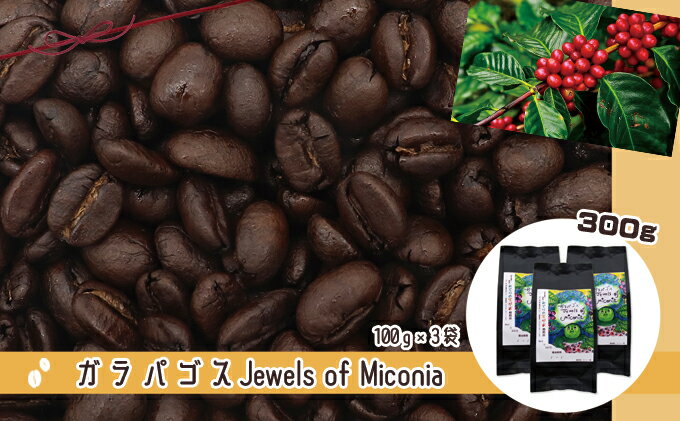 【ふるさと納税】 50度お湯洗い焙煎豆　ガラパゴス Jewels of Miconia