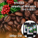 【ふるさと納税】 50度お湯洗い焙煎豆 ガラパゴス Jewels of Miconia(4)