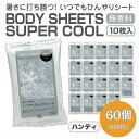 【ふるさと納税】 BODY SHEETS SUPER COOL ハンディ10枚入り(60個) お届け:※12月下旬にお申込みの商品は1月7日以降順次発送させていただきます。