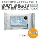 【ふるさと納税】BODY SHEETS SUPER COOL 大判10枚入り(100個) お届け:※12月下旬にお申込みの商品は1月7日以降順次発送させていただ...
