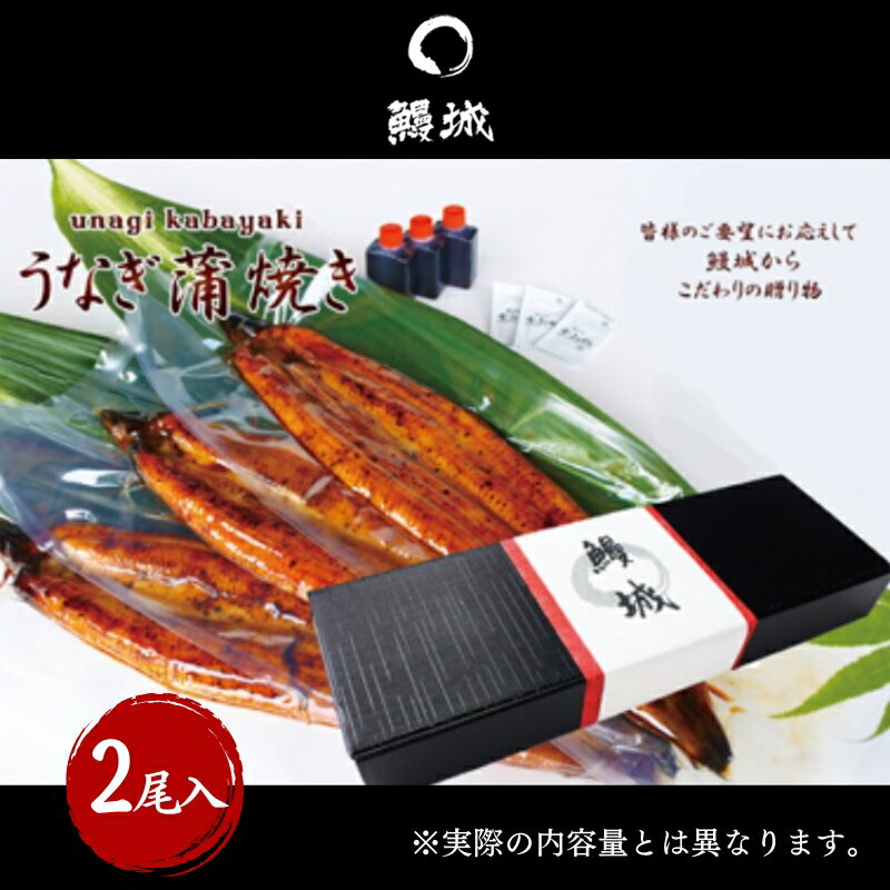 【ふるさと納税】鰻 国産 うなぎの蒲焼き 2尾入(特製タレ付) / 鰻城 うなぎ ウナギ 蒲焼 簡単調理 時短 小分け 電子レンジ お届け:2025年1月中旬以降順次発送予定