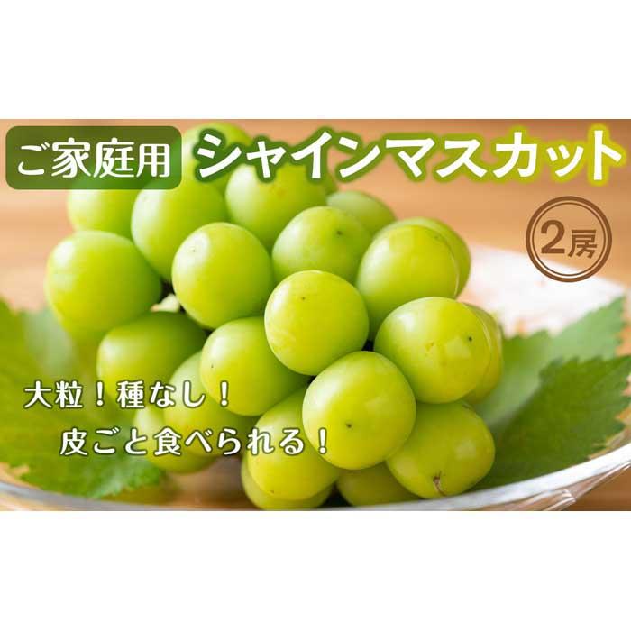 【ふるさと納税】ご家庭用シャインマスカット2房入り（1.1kg以上） | 香川県 坂出市 香川 楽天ふるさと 納税 返礼品 お取り寄せグルメ 取り寄せ グルメ 食品 フルーツ 果物 くだもの シャインマスカット ぶどう ブドウ 葡萄 自宅用 家庭用 お取り寄せ 特産品 ご当地 おいしいのサムネイル