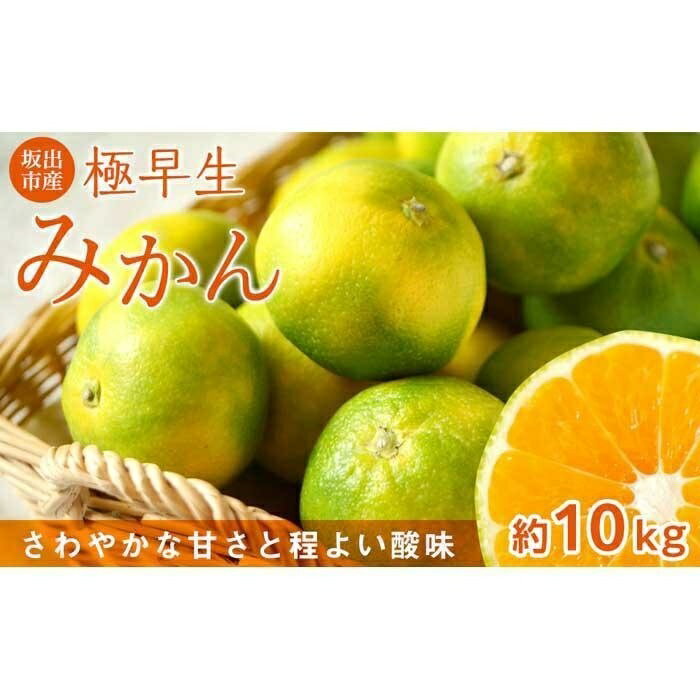 【ふるさと納税】坂出市産 極早生みかん 約10kg ※配送不可地域_沖縄県 | 香川県 坂出市 香川 四国 楽天ふるさと 納税 返礼品 お取り寄せグルメ 取り寄せ グルメ 食品 フルーツ 果物 くだもの みかん ミカン 蜜柑 早生みかん わせミカン 早生ミカン 柑橘 柑橘類のサムネイル