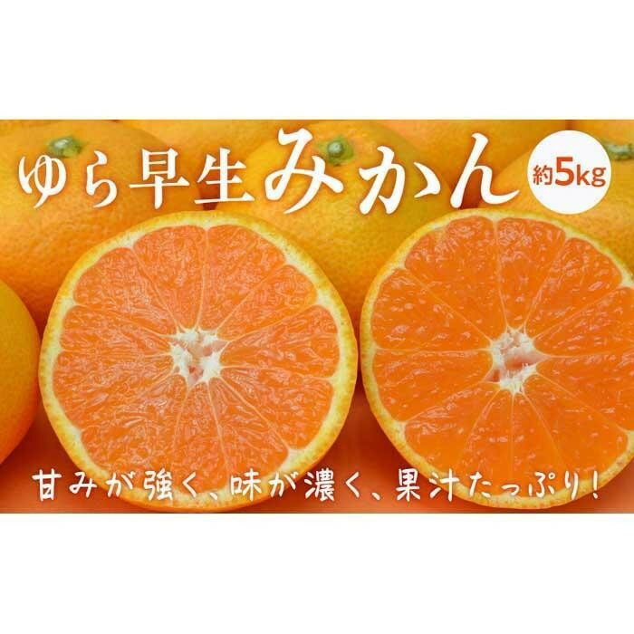 【ふるさと納税】ゆら早生みかん 約5kg | 香川県 坂出市 香川 四国 楽天ふるさと 納税 返礼品 支援 お取り寄せグルメ 取り寄せ グルメ 食品 フルーツ 果物 くだもの みかん ミカン 蜜柑 早生みかん わせミカン 早生ミカン 柑橘 柑橘類 かんきつ類 かんきつ ご自宅用 家庭用のサムネイル