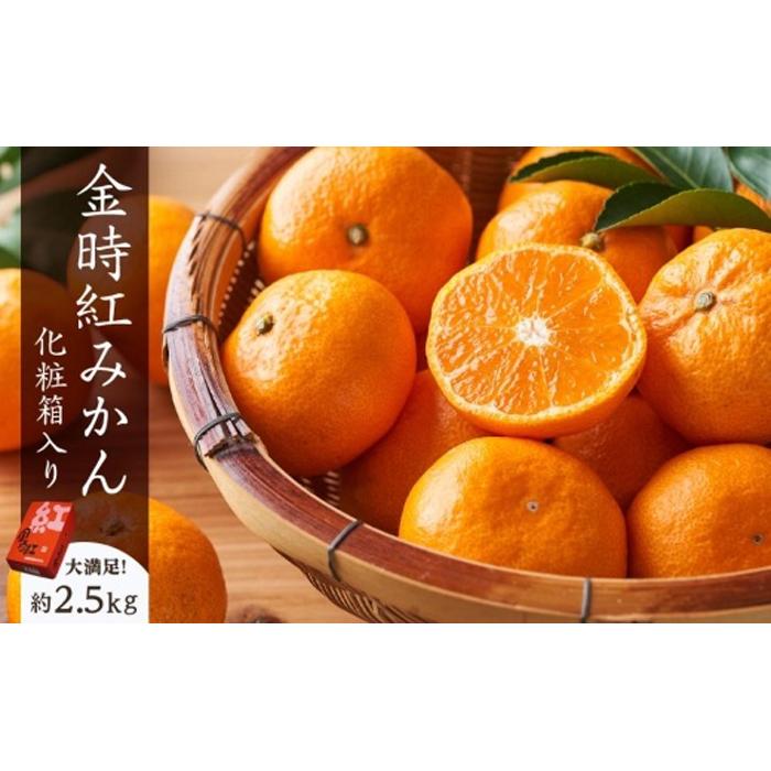 坂出市産 金時紅みかん 約2.5kg(21〜30玉入り) 化粧箱入り | 香川県 坂出市 香川 四国 楽天ふるさと 納税 返礼品 支援 お取り寄せグルメ 取り寄せ グルメ 食品 フルーツ 果物 くだもの みかん ミカン かんきつ類 かんきつ ご自宅用 家庭用 お取り寄せ