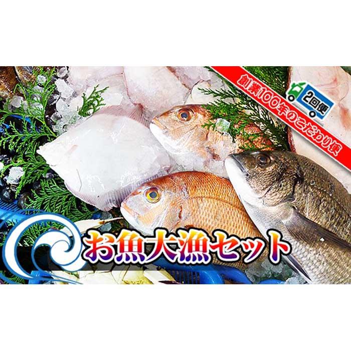 【ふるさと納税】【定期便2回】創業100年の魚屋さんが選び抜いた旨い鮮魚直送便~ | 香川県 坂出市 香川 四国 楽天ふるさと 納税 返礼品 支援 お取り寄せグルメ 取り寄せ グルメ 食品 定期便 魚介 魚介類 海の幸 海産物 鮮魚 魚 新鮮 産地直送 さかな 特産品 お取り寄せ