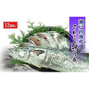 【ふるさと納税】鰆 朝獲れ 鰆の切り身 12切れ 4切れパック 3袋 瀬戸内海産［薄塩加工済み］冷凍品 さわら【先行予約：2024年4月中旬～順次発送】 | 香川 四国 楽天ふるさと 納税 返礼品 食品 …