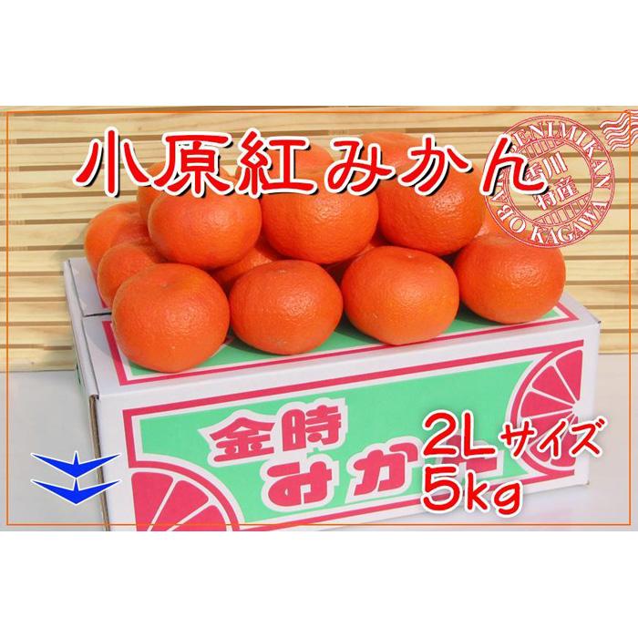 小原紅早生みかん 香川県産 約5kg ( 2Lサイズ ) | みかん | フルーツ 果物 くだもの 食品 人気 おすすめ 送料無料